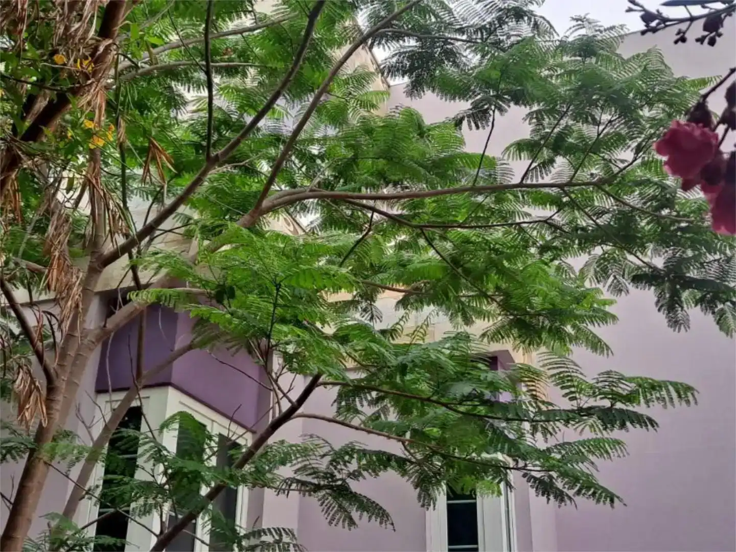 Vista exterior de Pis en venda en Las Palmas de Gran Canaria amb Aire condicionat, Jardí privat i Parquet