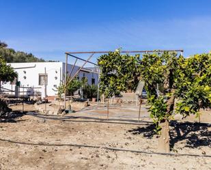 Casa o xalet en venda en Illar amb Aire condicionat i Terrassa