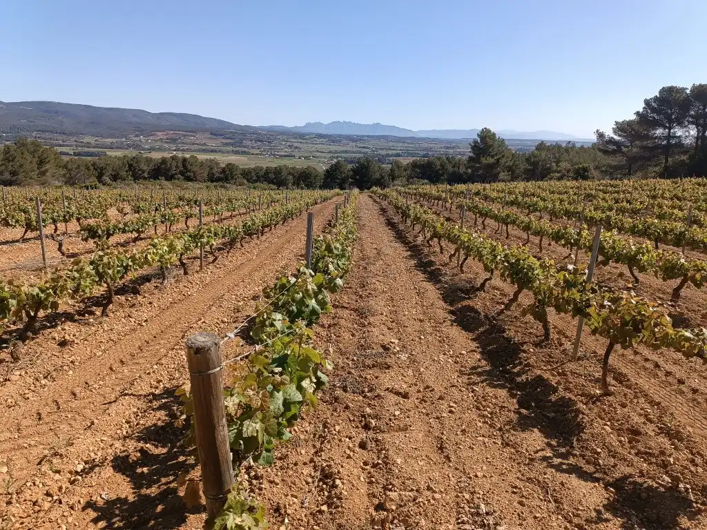 Rustikales Grundstück zum Verkauf in Sant Julià, imagen 6