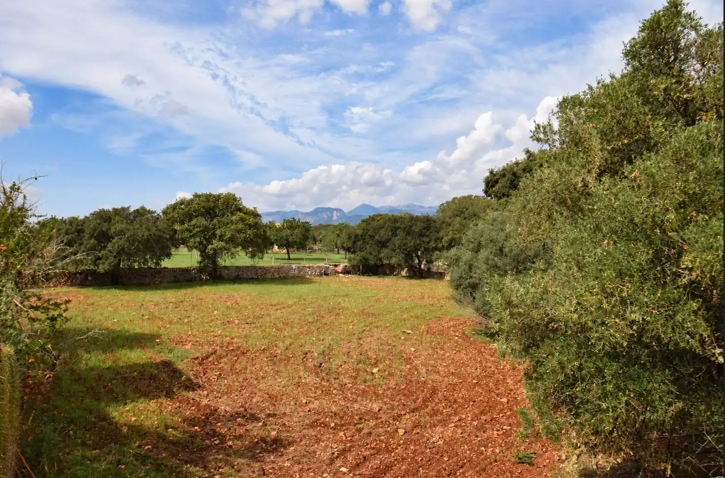 Casa rústica amb jardí en venda a Centro, imagen 30