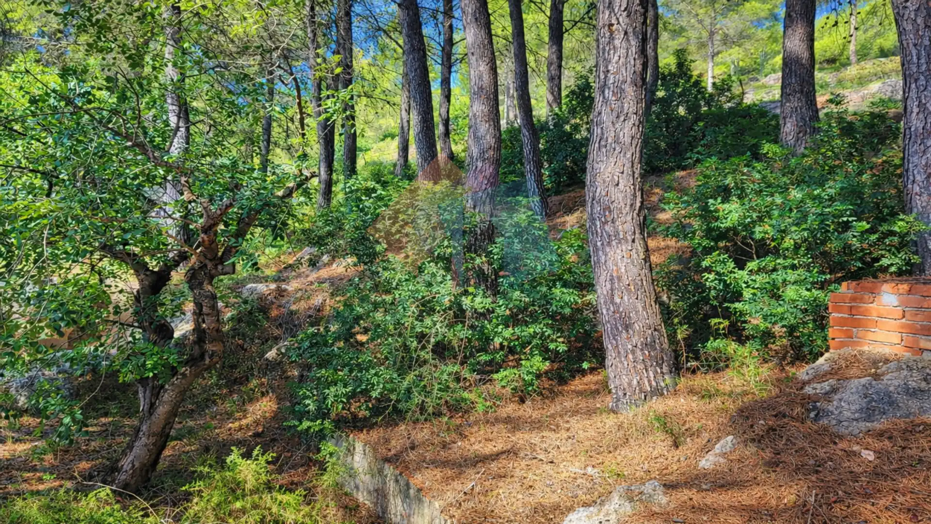 Casa o xalet en venda en Montitxelvo / Montichelvo amb Jardí privat, Traster i Piscina