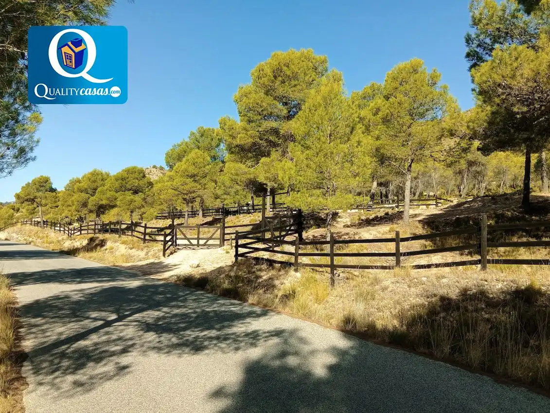 Terrenys i solars en venda a Onil, imagen 8