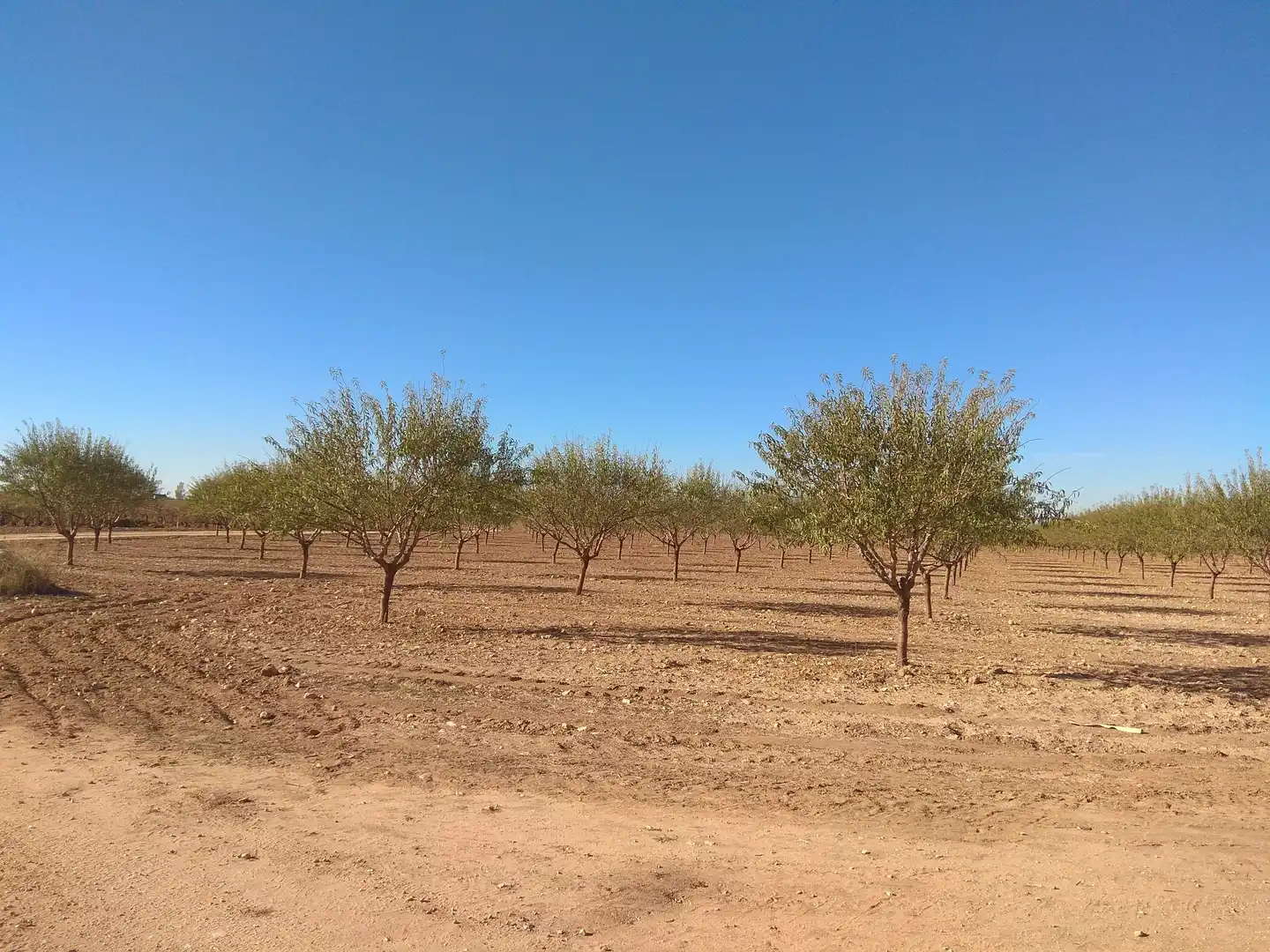 Terreni e lotti in vendita a Las Mesas, imagen 9