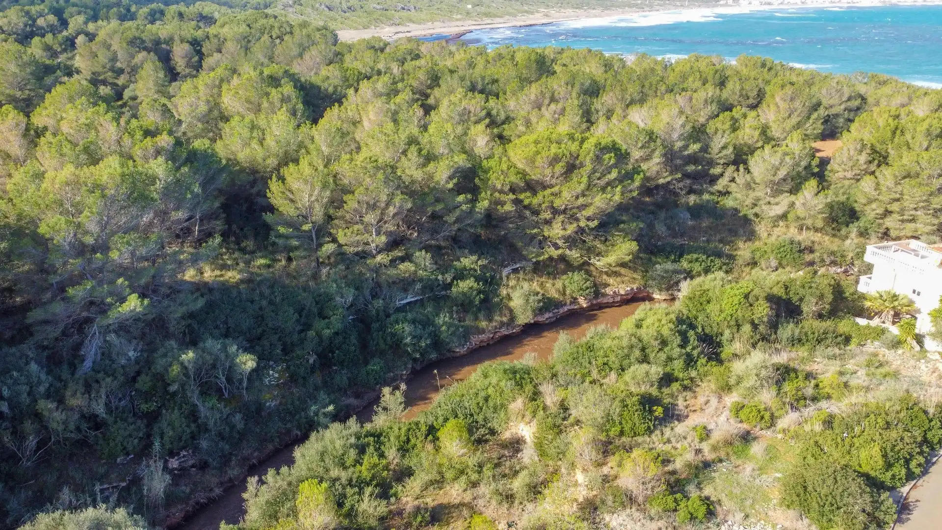 Terrenys i solars en venda a S'Estanyol, imagen 4