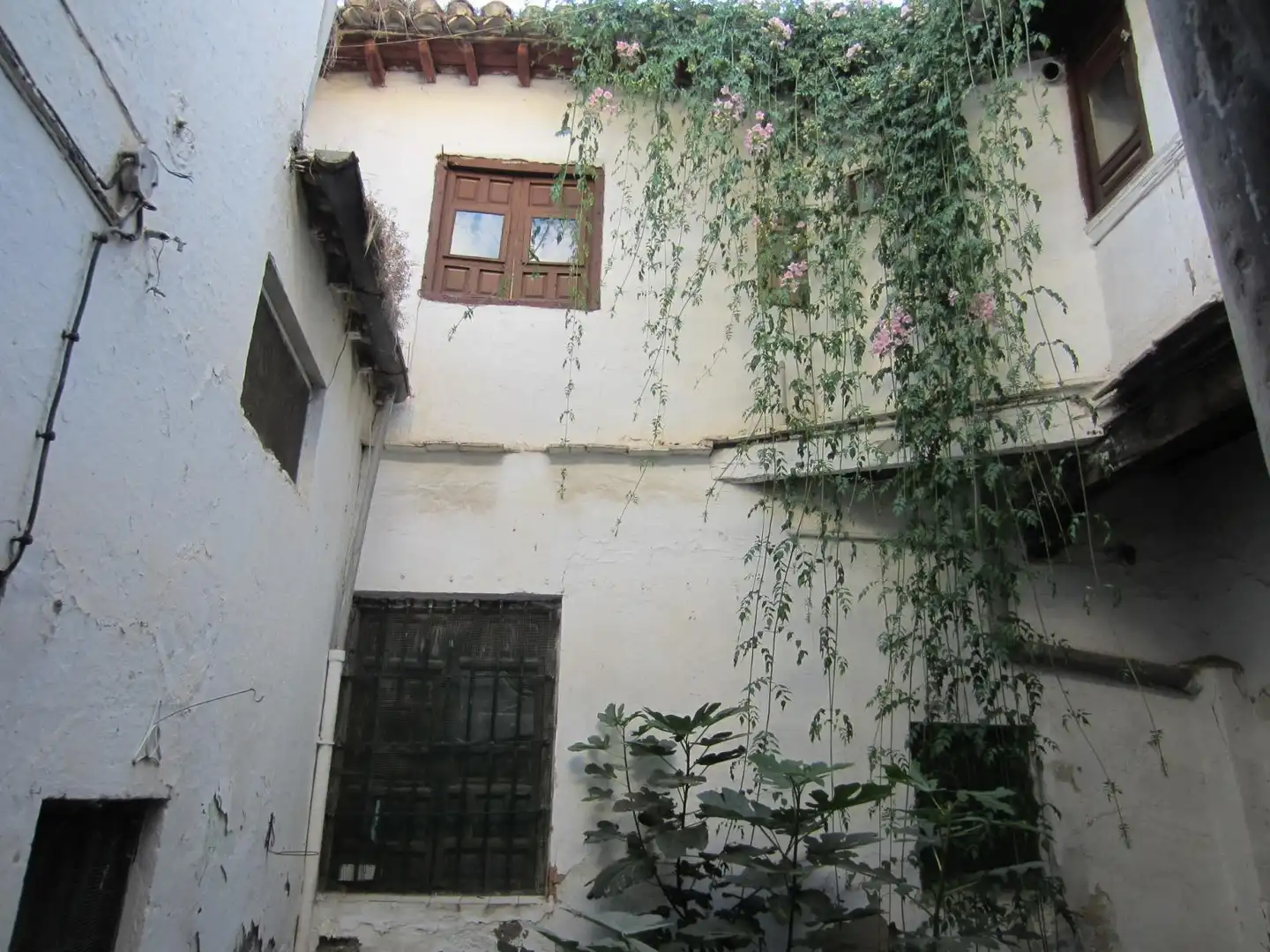 Vista exterior de Casa o chalet en venta en Granada con Terraza