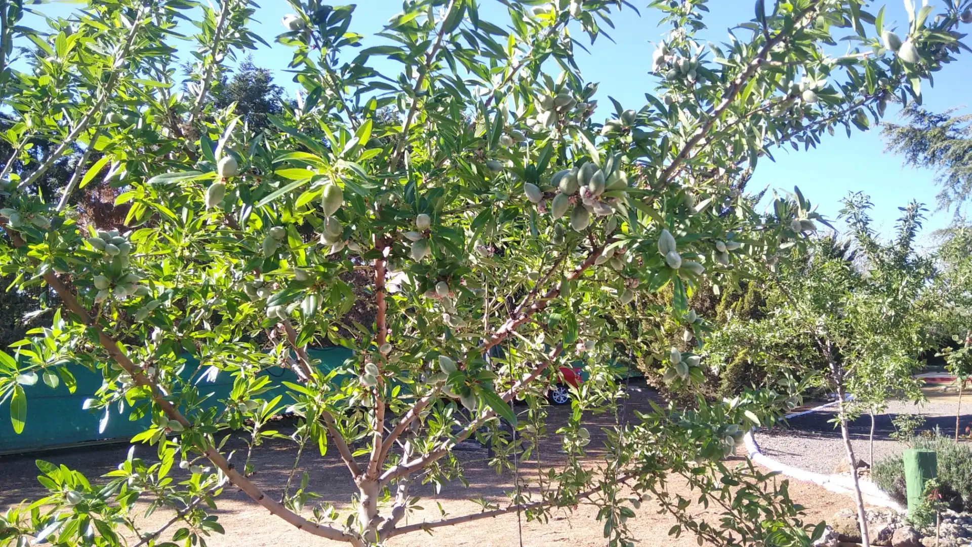 Jardí de Casa o xalet en venda en Ciudad Real amb Calefacció, Jardí privat i Traster
