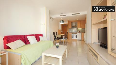 Photo 2 of Apartment to share in El Poblenou, Barcelona