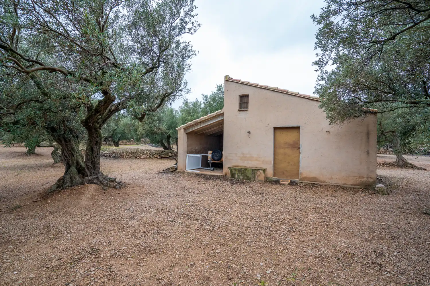 Terreno rustico in vendita a Cami de Pandorga 1, imagen 2