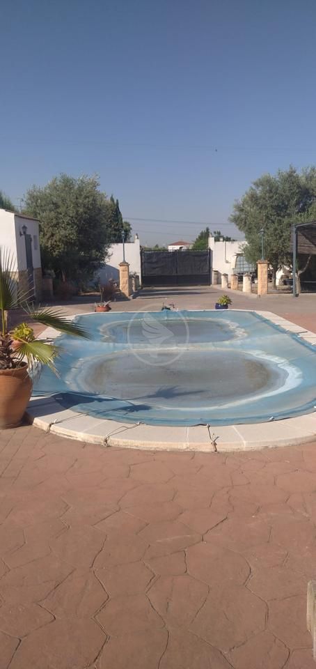 Piscina de Finca rústica en venda en Linares amb Jardí privat i Piscina