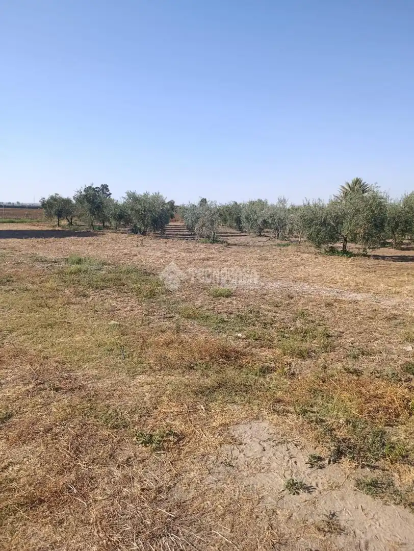 Terreni e lotti in vendita a Pedanías Norte, imagen 7