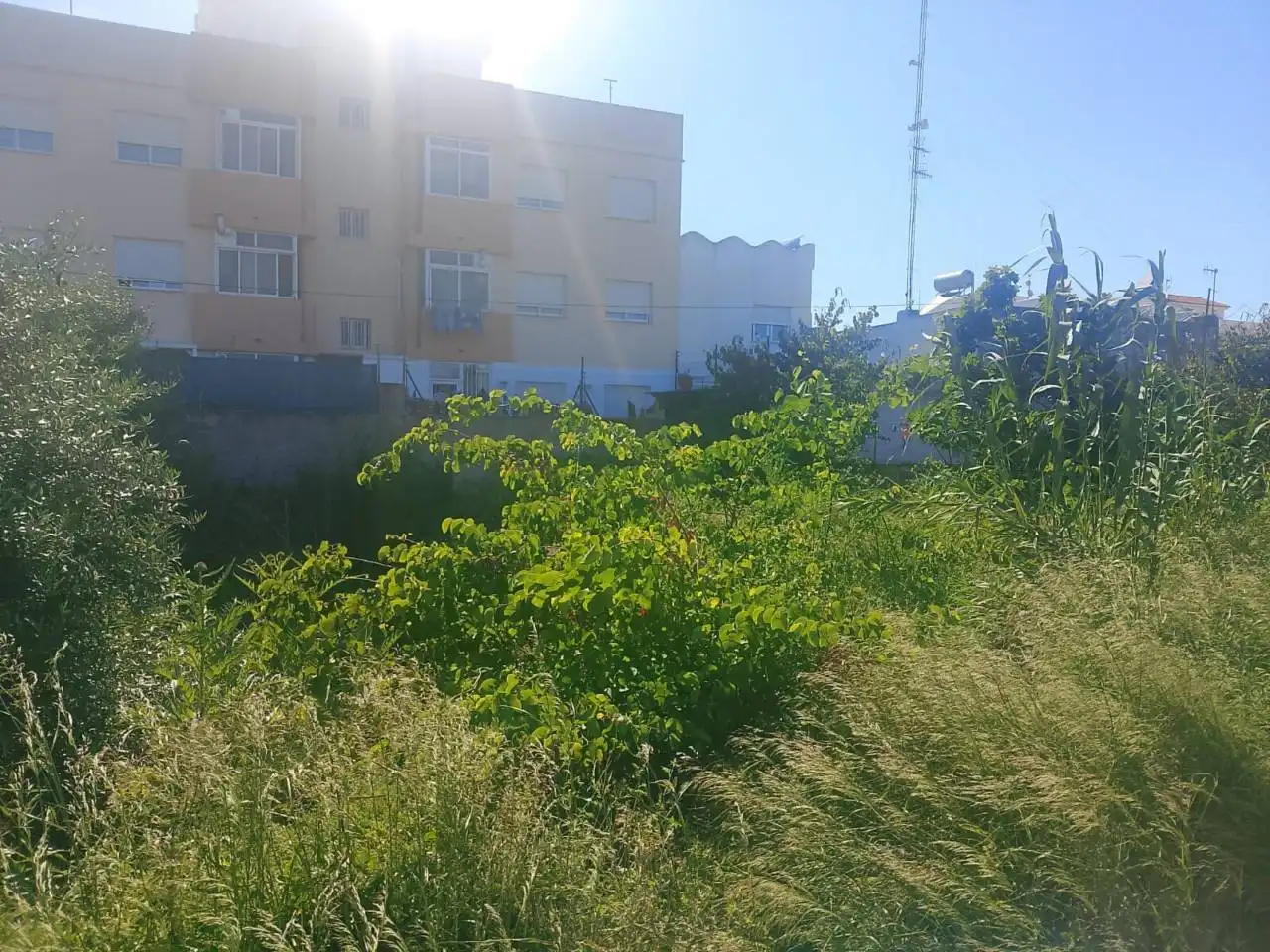 Wohnbaugrundstück zum Verkauf in Calle Valldigna, imagen 2