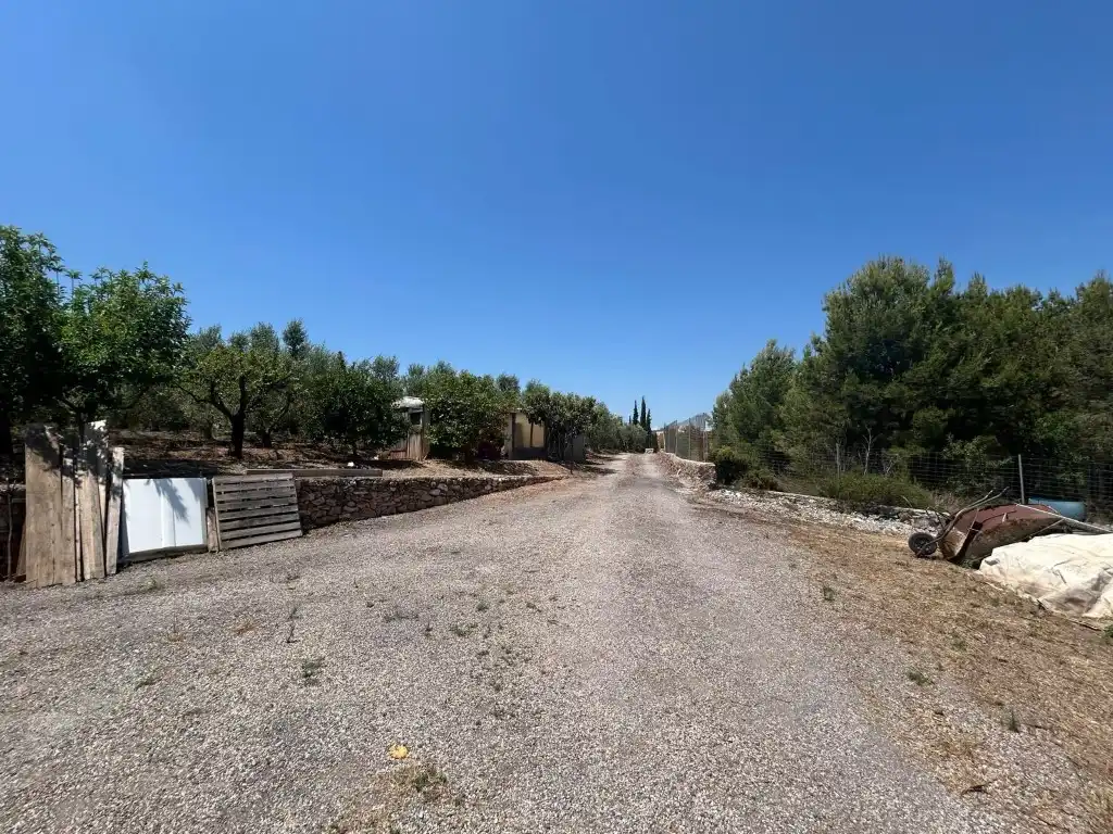 Finca rústica en venta en Sot de Ferrer
