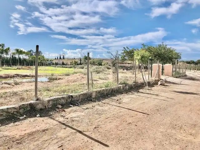 Casa rústica con terraza en venta en Llevant, imagen 32
