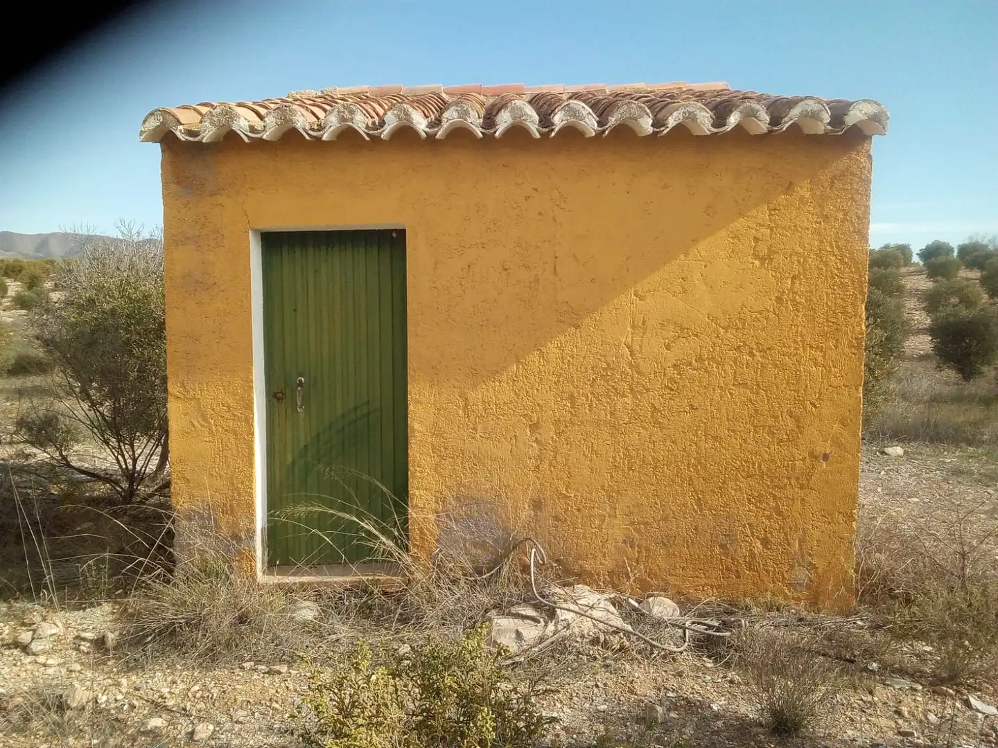 Terreny rústic en venda a Uleila del Campo, imagen 5