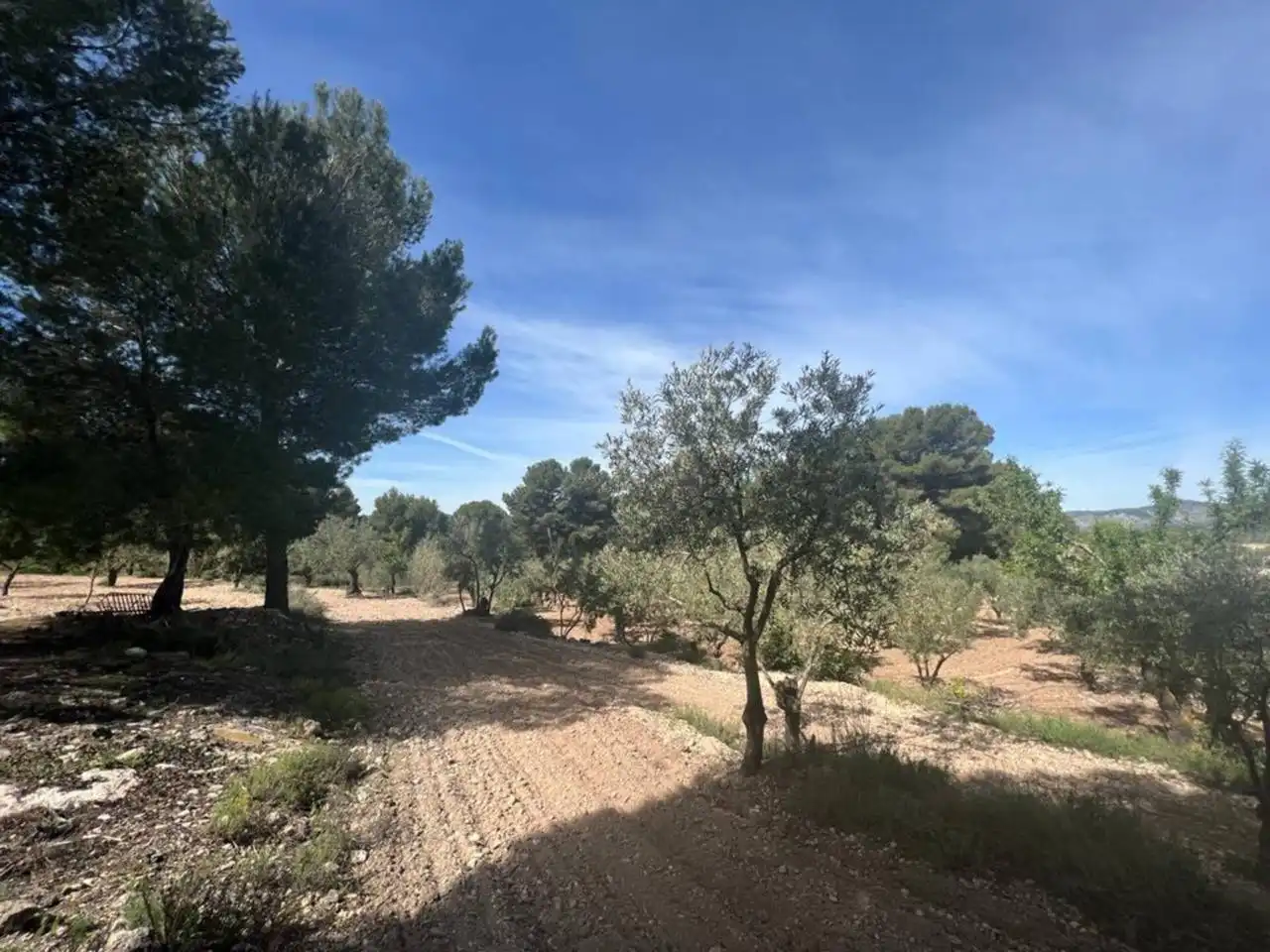 Chalet con jardín en venta en Calle Poligono, imagen 132