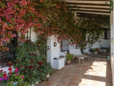 Casa rústica con piscina en venta en El Cigarral - Dehesa - Borrajo