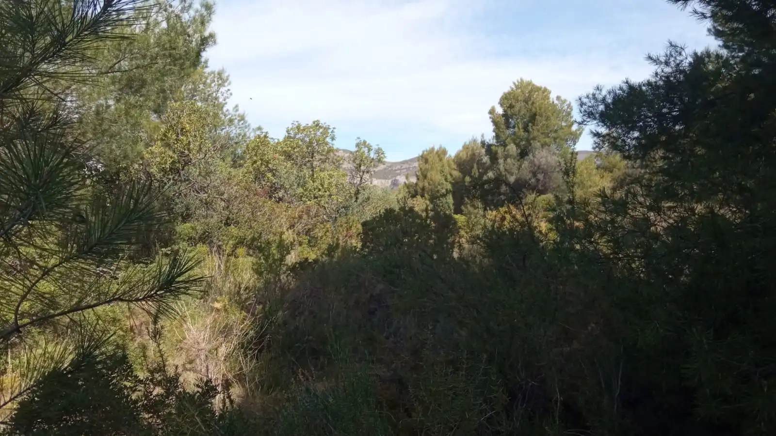 Residential land for sale in Poligono 11, imagen 8
