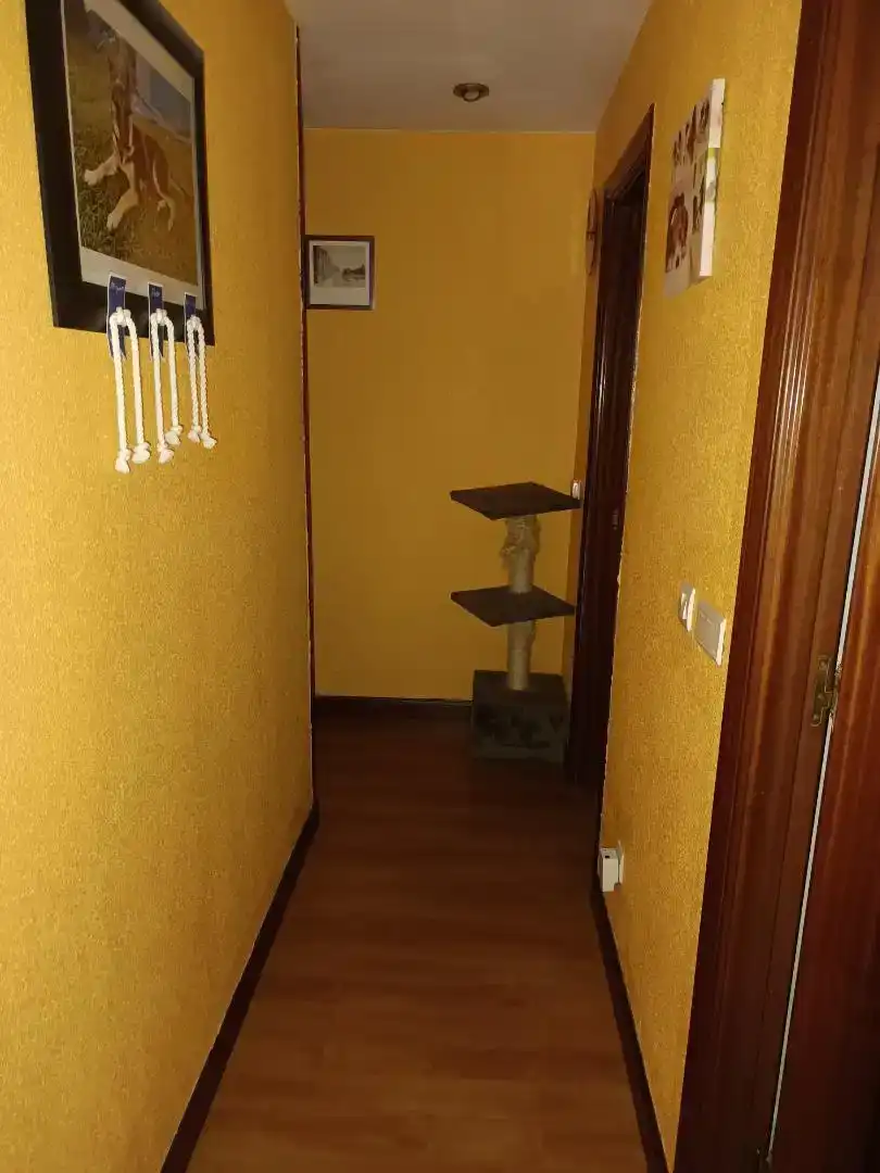 Ático en venta en Palencia Capital