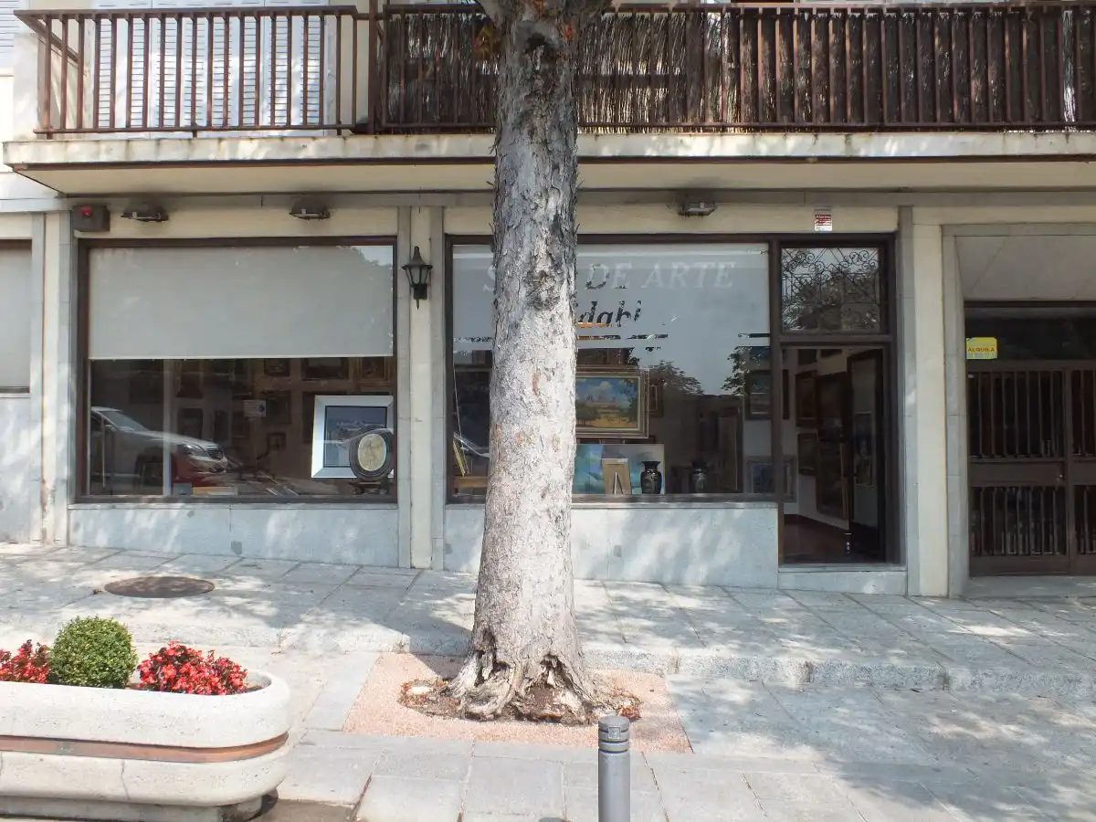 Vista exterior de Local de alquiler en San Lorenzo de El Escorial