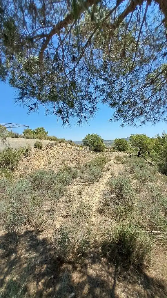 Terreno residenziale in vendita a Urbanización la Pinada, imagen 6