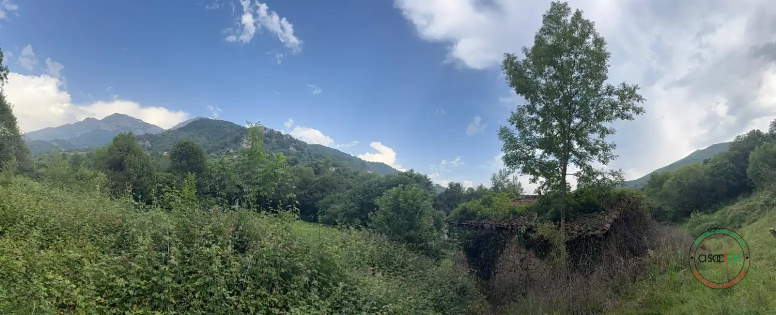 Exterior view of Land for sale in Quirós