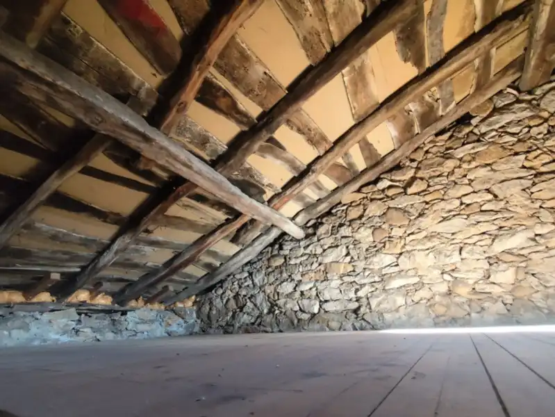 Finca rústica en venta en Pravia