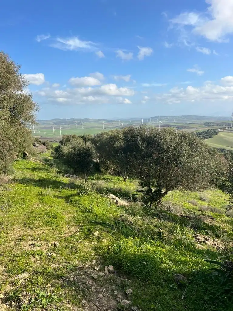 Casa rústica en venda a Vejer, imagen 10