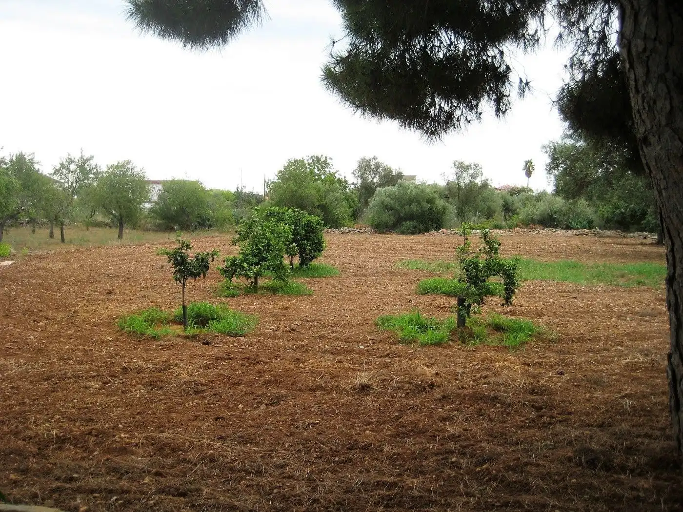 House with garden for sale in Boverals - Saldonar, imagen 12