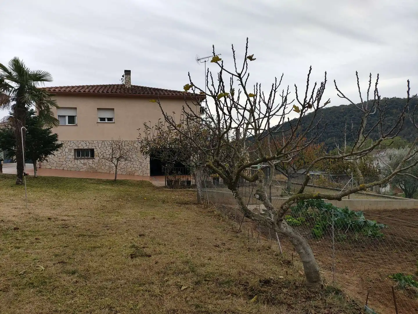 Vista exterior de Casa o xalet en venda en Sant Feliu de Buixalleu amb Aire condicionat, Calefacció i Terrassa