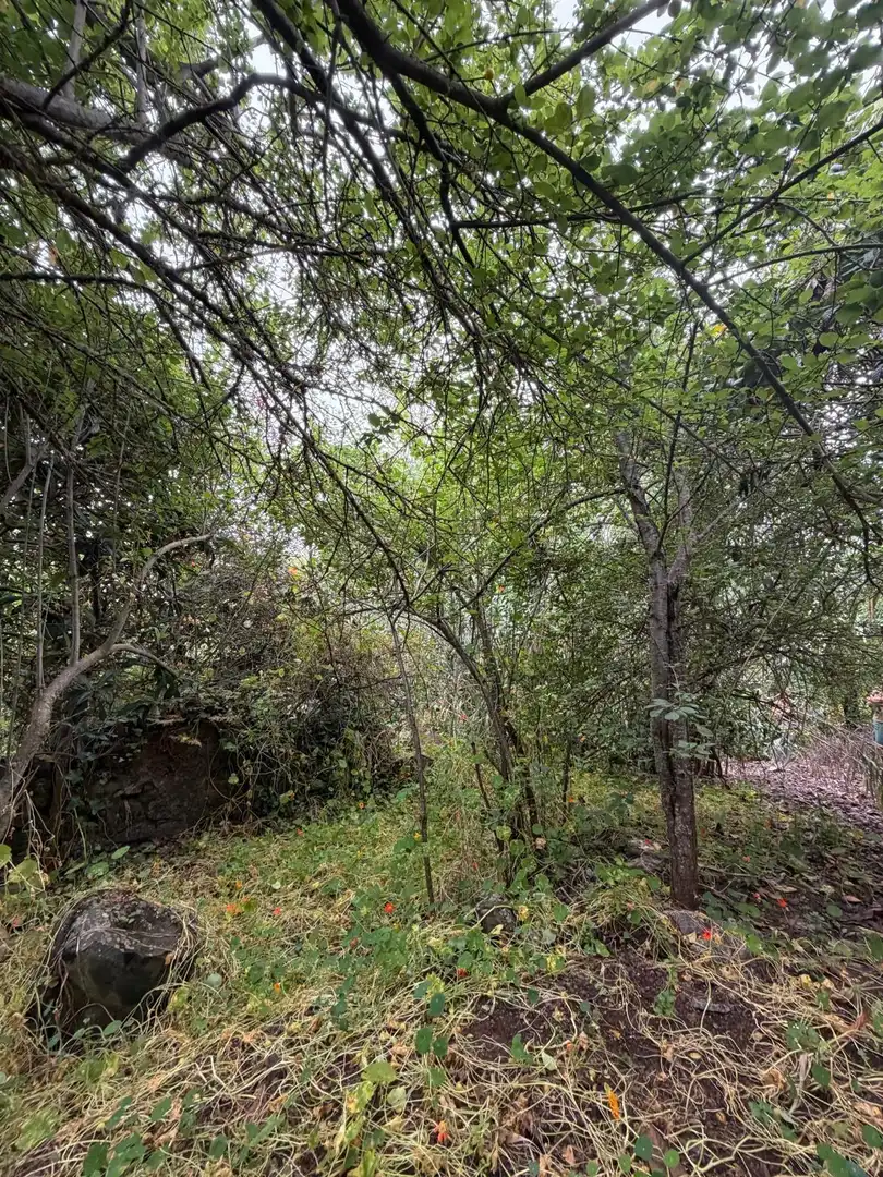 Terreno rustico in vendita a El Bebedero - Pinolere - Aguamansa, imagen 36