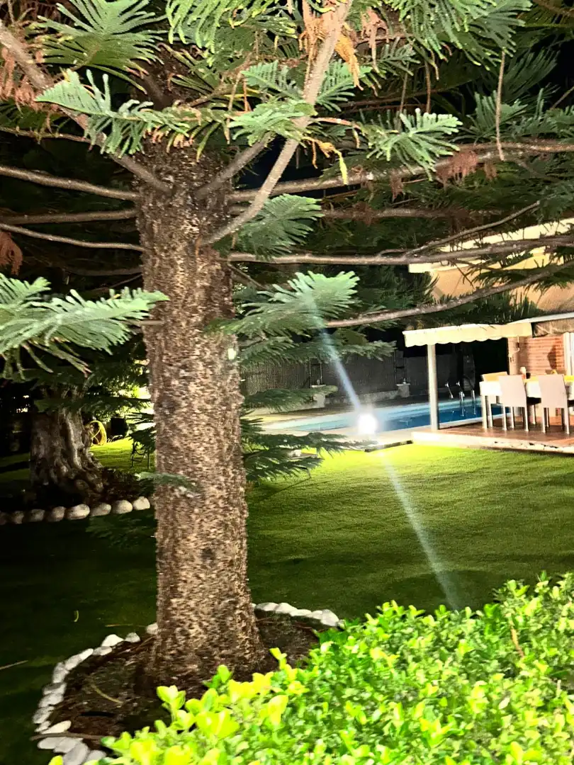 Casa o chalet en venta en La Pobla de Montornès