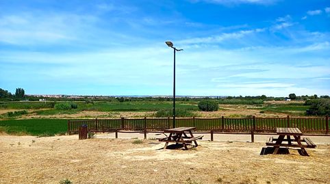 Photo 4 of Land for sale in Soto Peña Ortiz, 96, Peñaflor, Zaragoza Capital