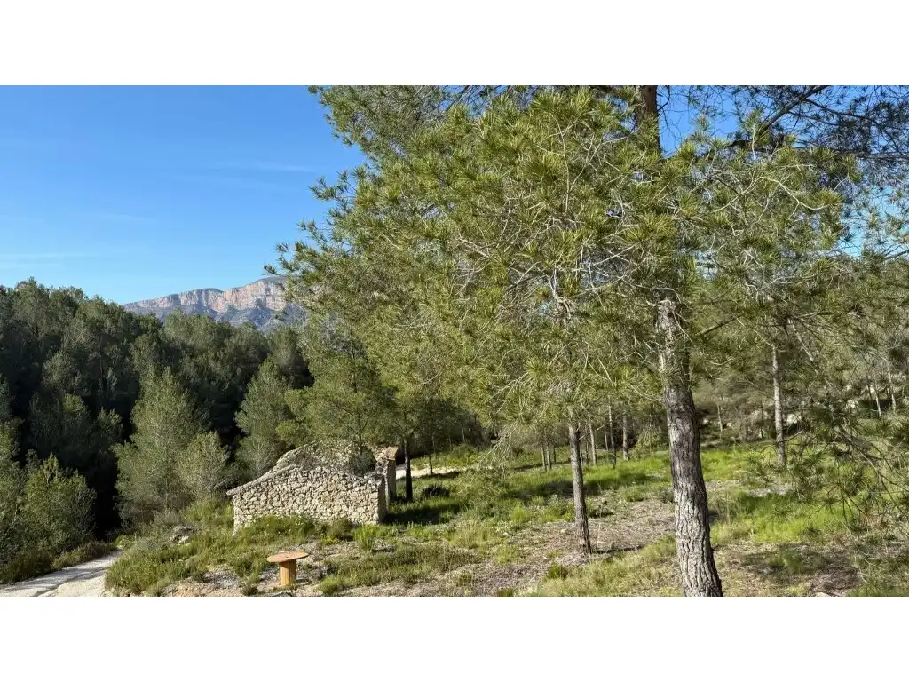 Casa o xalet en venda en Jávea / Xàbia
