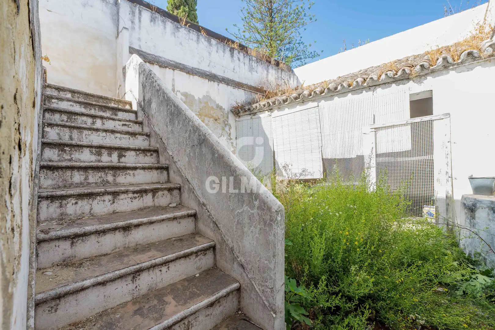 Jardí de Casa adosada en venda en Bornos amb Calefacció i Jardí privat
