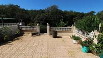 Jardí de Casa o xalet en venda en Maçanet de la Selva amb Aire condicionat, Terrassa i Piscina