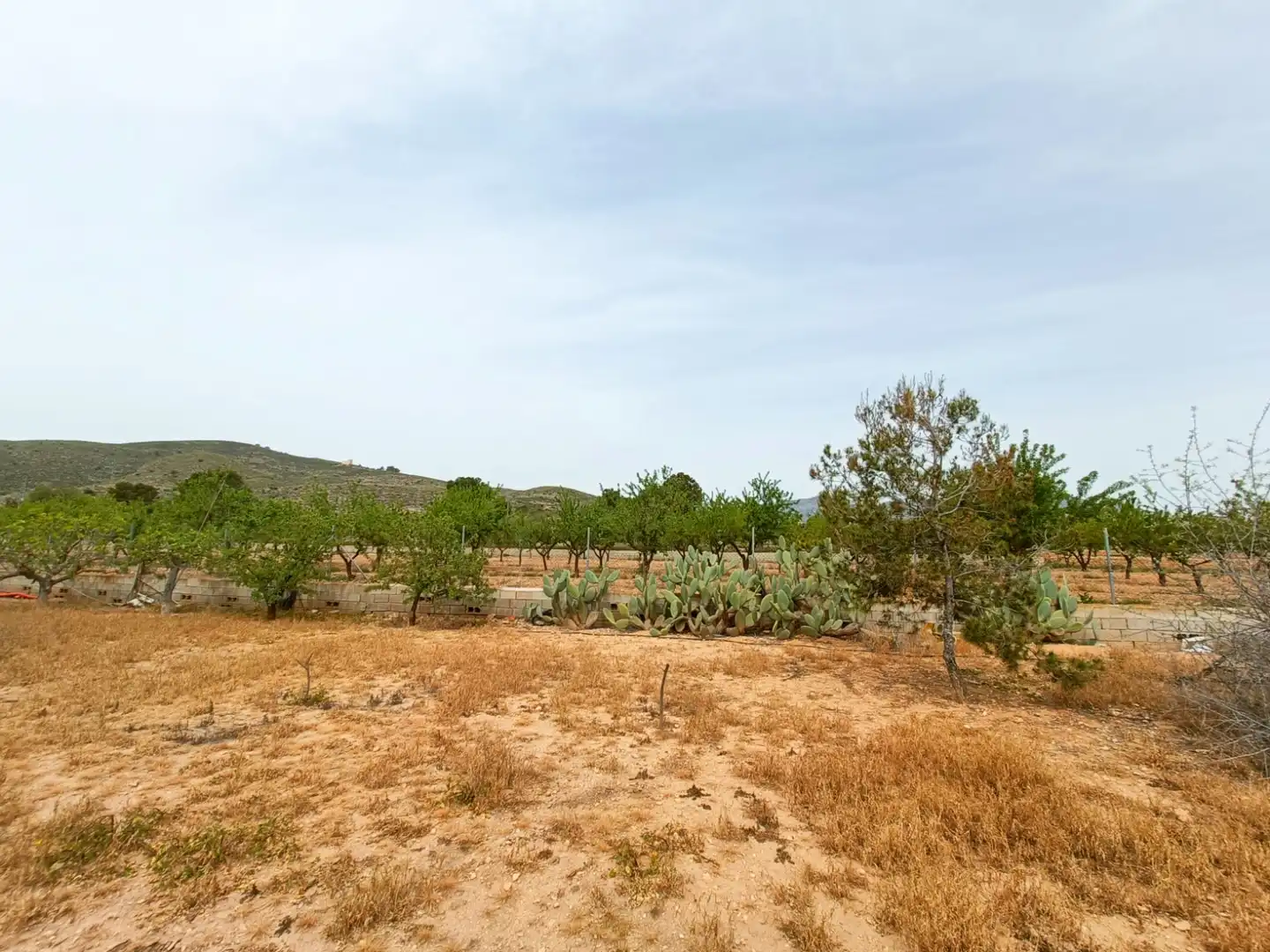 Haus zum Verkauf in Hondón de los Frailes, imagen 33