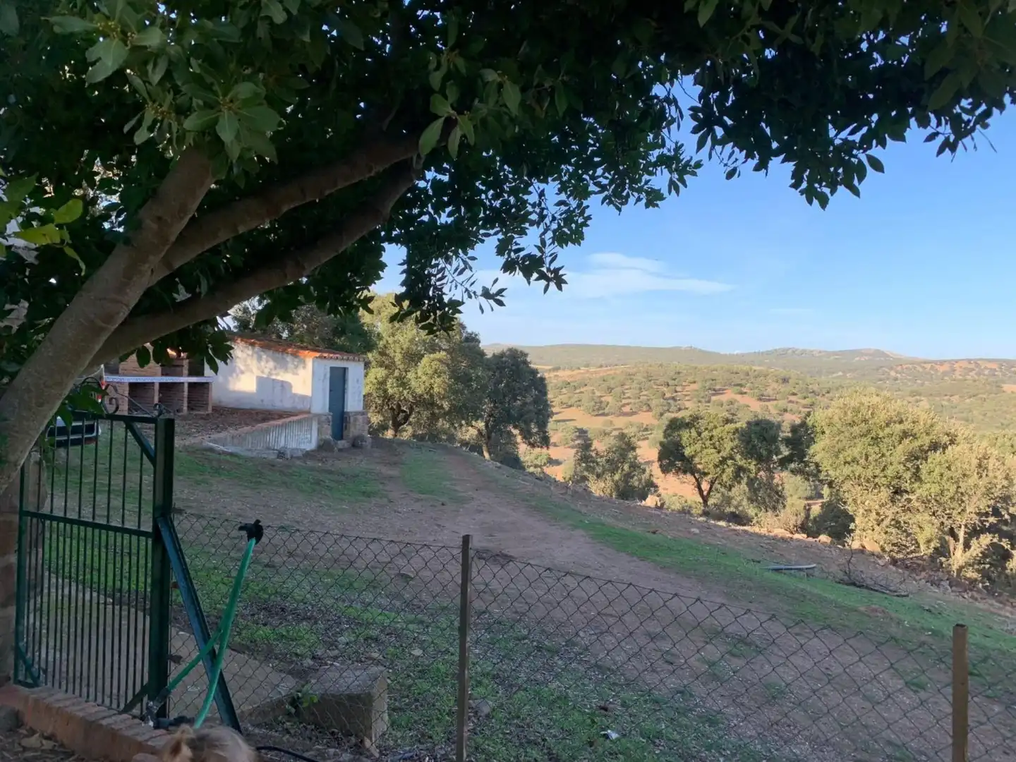 Land for sale in Garbayuela