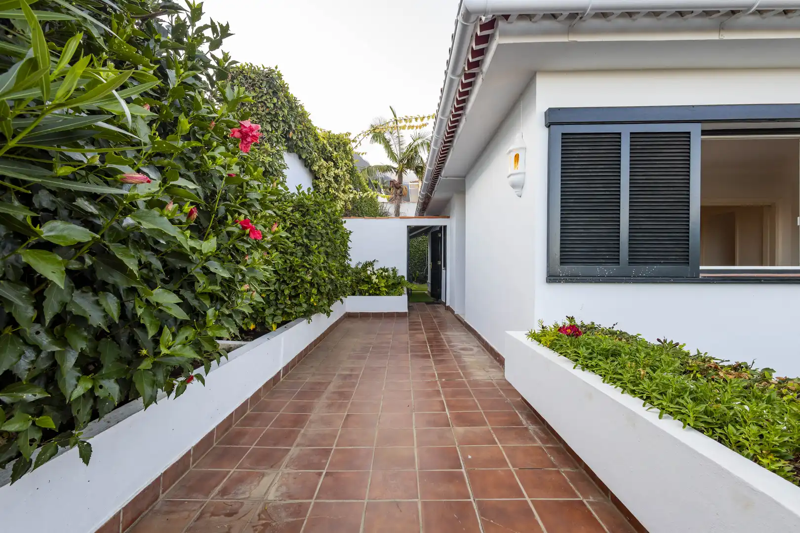 Houses for rent in C. Rumanía, 16, Las Cuevas - Los Gómez