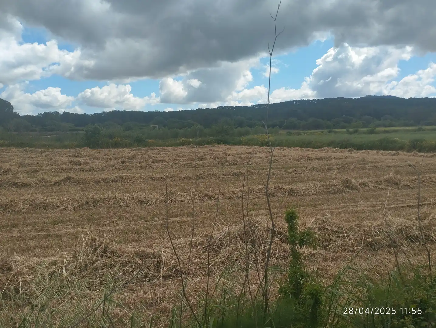 Rural land for sale in Algaida, imagen 5