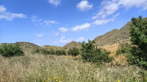 Foto 2 de Terreno en venta en Carretera Lorca Ramonete, 9, Ramonete, Lorca