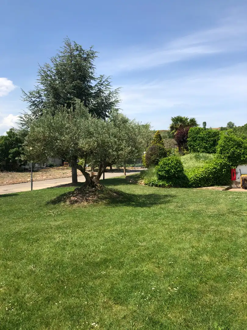 Garden of Residential for sale in Nalda