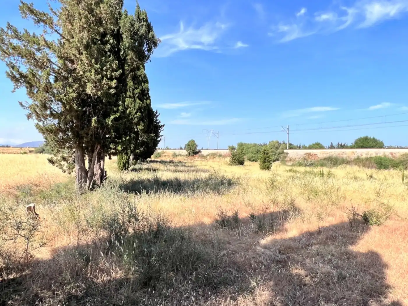 Maison rustique à vendre à Muro, imagen 10