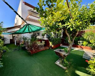 Jardí de Casa o xalet de lloguer en Torrevieja amb Aire condicionat, Terrassa i Piscina