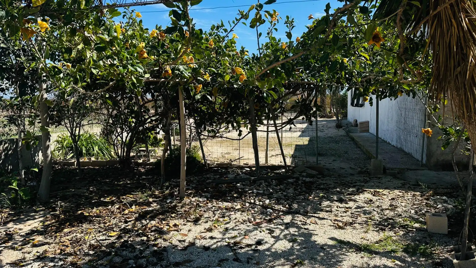 Casa o xalet en venda en Elche / Elx amb Jardí privat, Traster i Piscina