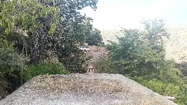 Rural land for sale in Alpujarra de la Sierra, imagen 24