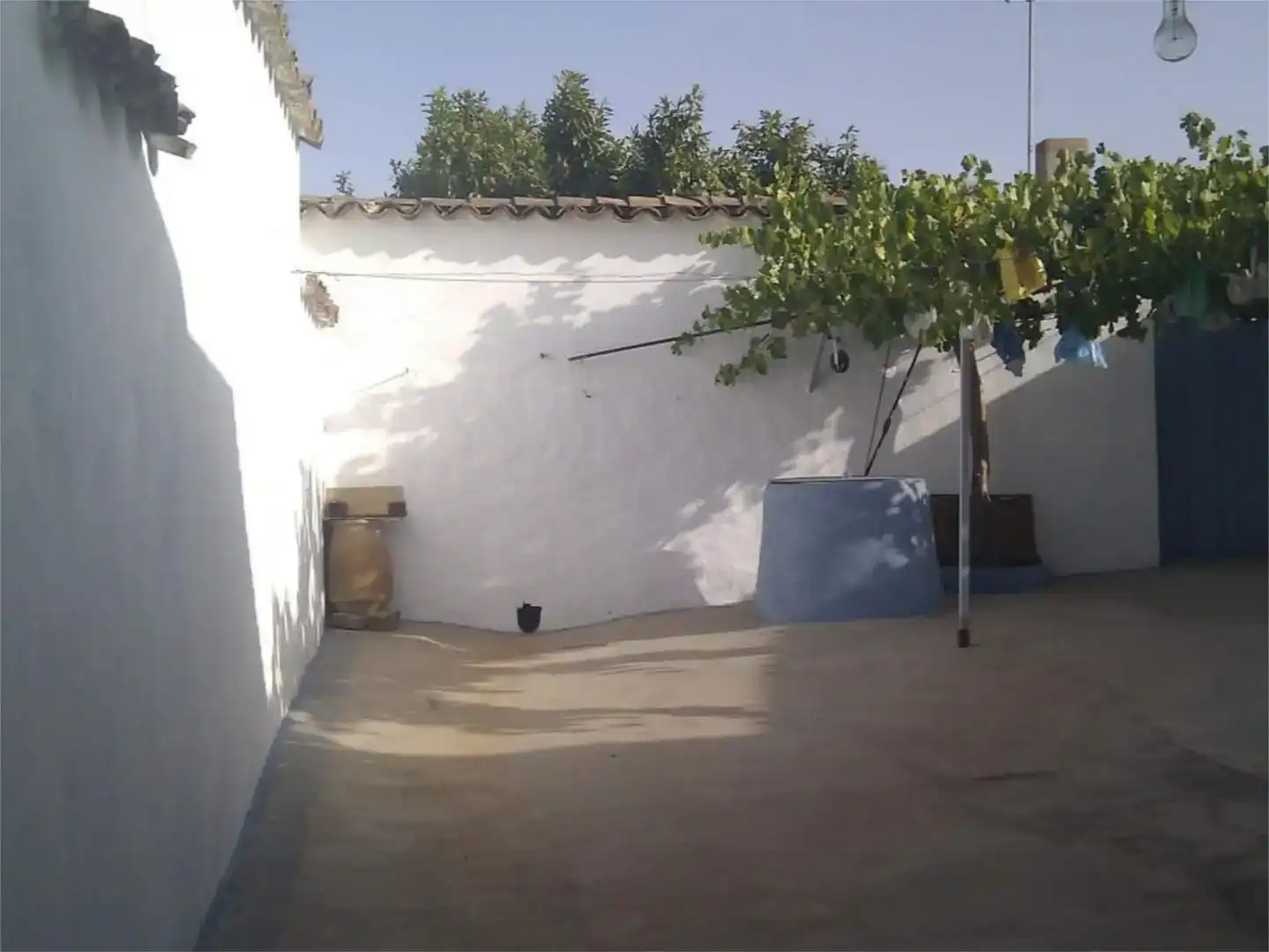Jardí de Finca rústica en venda en San Carlos del Valle, Ciudad Real