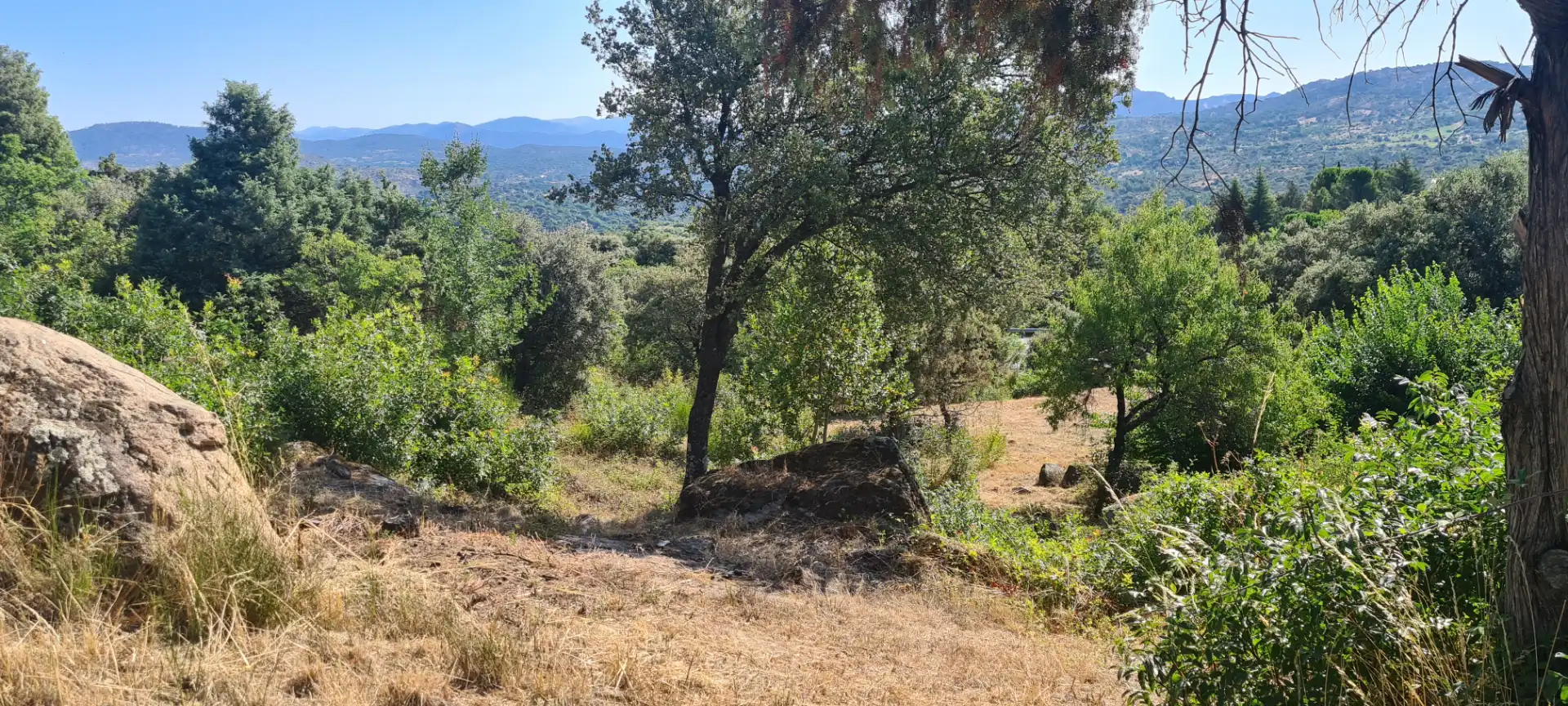 Residential land for sale in Calle Tajuña 726, imagen 9