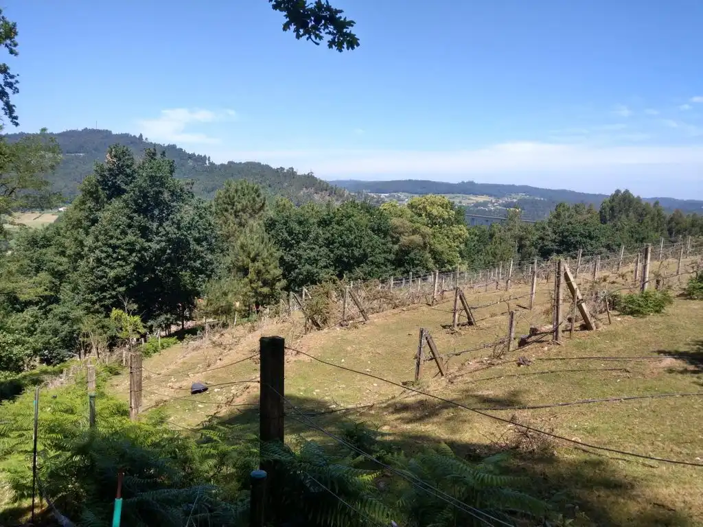 House for sale in Noveledo, imagen 9
