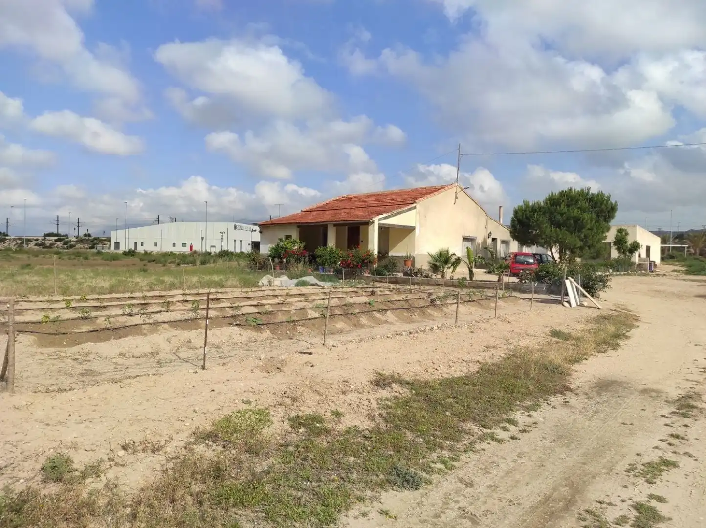 Terrain rustique à vendre à Partida Matola, imagen 11