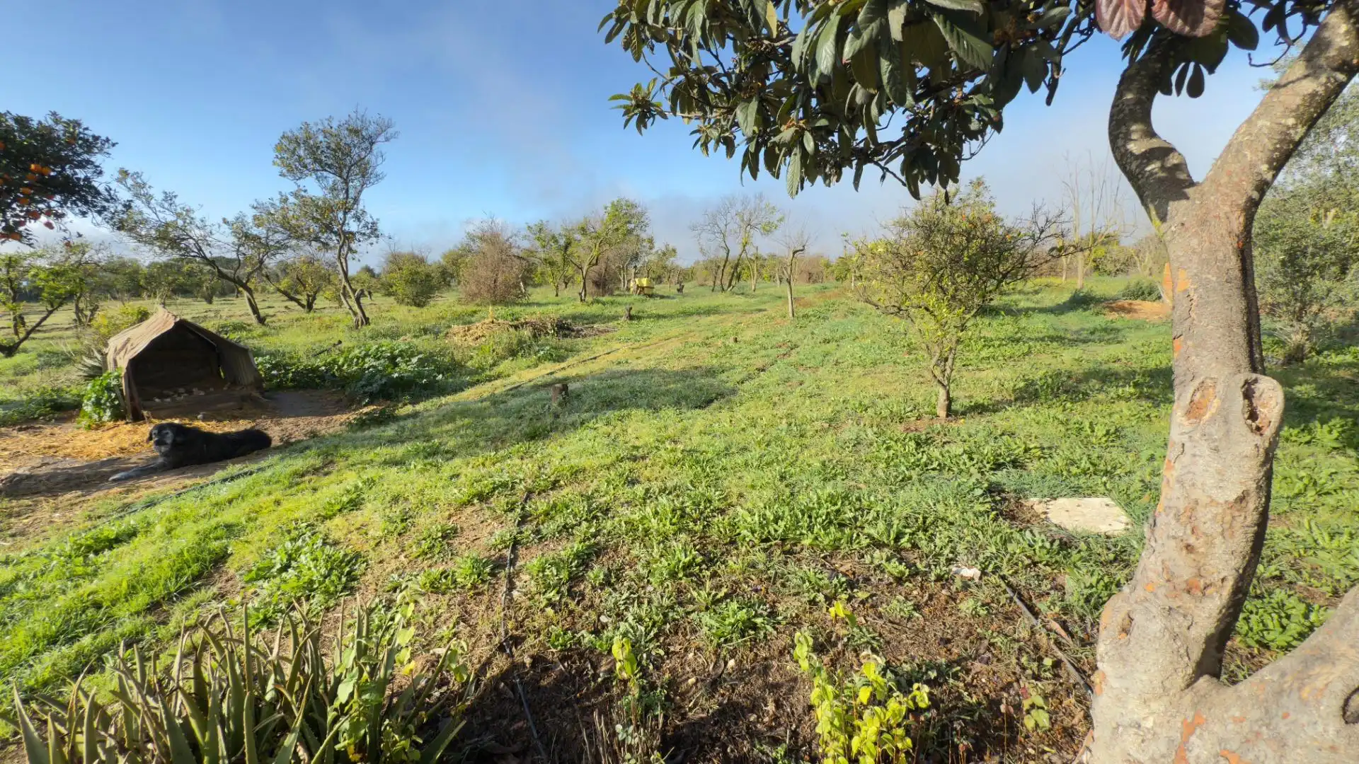 Casa rústica con jardín en venta en Gibraleón, imagen 11